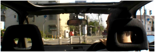 車載版 Walker View