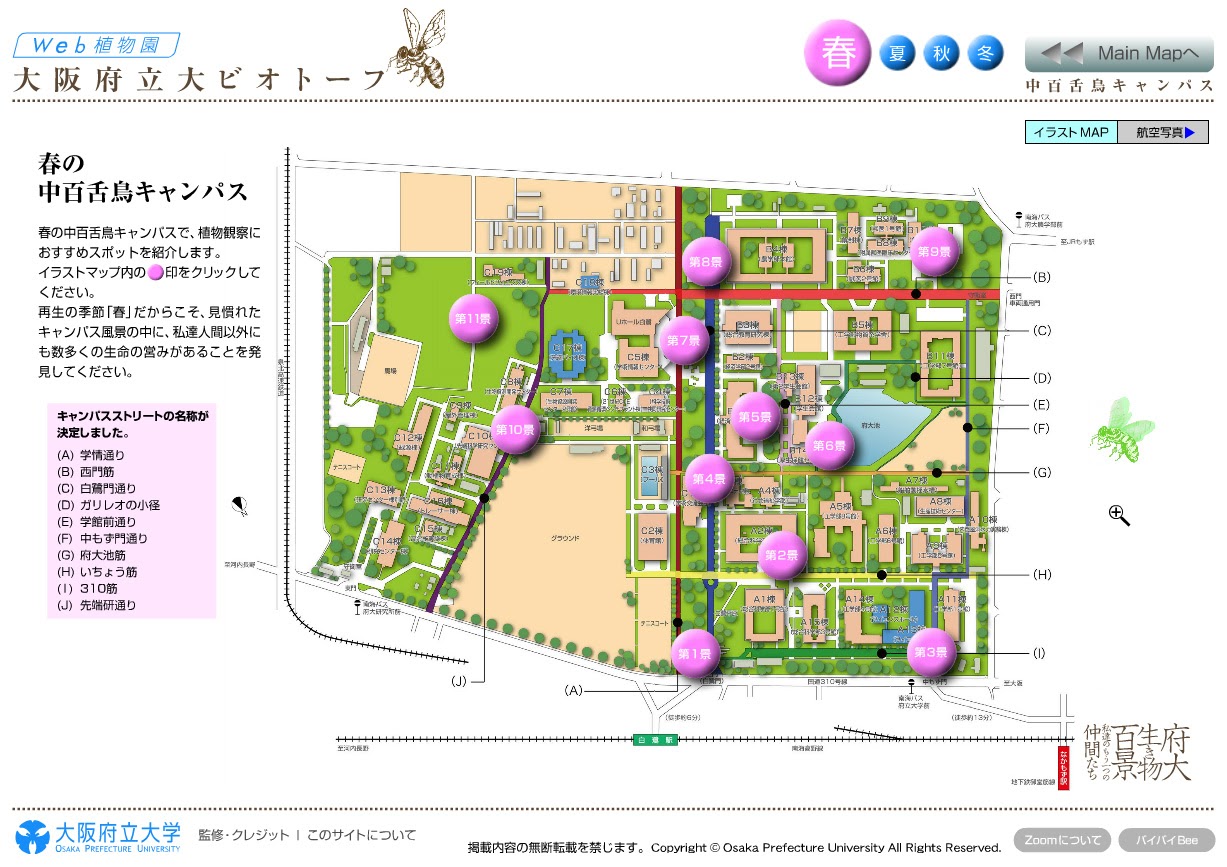 植物園コンテンツ, ホームページ, e-Zoom Flash, WEB 博物館, 大阪府立大学